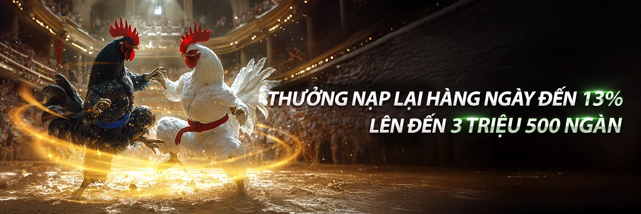 Trường gà daga67 trực tuyến với nhiều thành viên tham gia